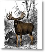 Moose Family Metal Print