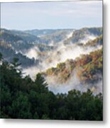 Morning In Fog Metal Print