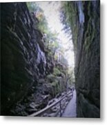 Moss Covered Walls Metal Print