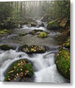 Moss On Middle Prong 4 Metal Print