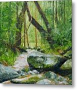 Mossman Daintree Rainforest Fnq Metal Print