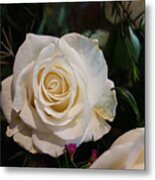 Mothers Day White Rose Metal Print