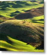 Mounds Of Joy Metal Print