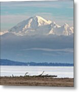 Mount Baker, A Bald Eagle, And Boundary Bay Metal Print