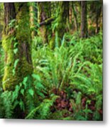 Mount Si Forest Metal Print