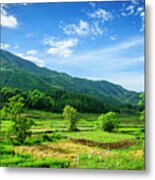 Mountain And Countryside Scenery Metal Print