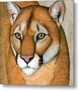 Mountain Lion Cougar Wild Cat Metal Print