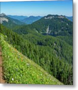 Mountain Trail 2 Metal Print