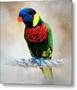 Multicolor Bird 87 Metal Print