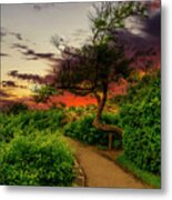 My Favorite Tree Metal Print