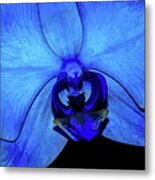 My Love Is The Color Blue Metal Print