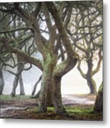 Mysterious Path Metal Print