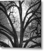 Nature In Stained Glass In Black And White Metal Print