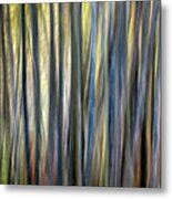 Nature's Abstracts - Bamboo Icm Metal Print