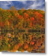 Natures Color Palette Ny Metal Print