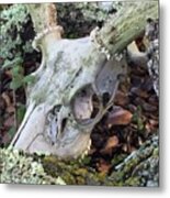 Nature's Reclamation Metal Print