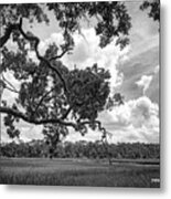 Natures Serenity In Black And White Metal Print
