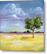 Nebraska Skies - Sprinkling Metal Print