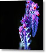 Neon Bloom Metal Print