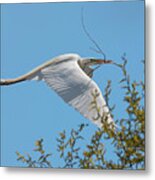 Nest Fortification Metal Print
