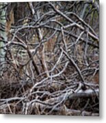 New Beginnings Await In Mazama On The Spring Trails By Omashte Metal Print