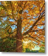 New England Fall Foliage Peak Colors Metal Print