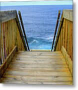 Next Step Antarctica - Kangaroo Island Metal Print