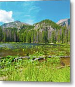 Nymph Lake, Rocky Mountain National Park, Colorado, Usa, North America Metal Print