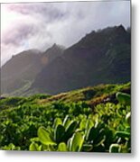 Oahu, Hawaii 1 Metal Print