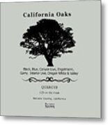 Oak Tree Illustration Metal Print