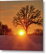 Oakset - Winter Wi Sunset Behind A Solitary Oak Tree Metal Print