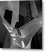 Oculus Metal Print