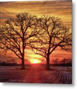 Old Married Couple - Twin Oaks Near Oregon Wi At Sunset Metal Print