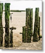 Old Pilings In A Tidal Flat Metal Print