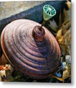 Old Spinning Top Toy Metal Print