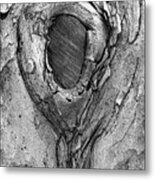 Old Tree Trunk In The Park Metal Print