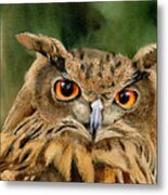 Old Wise Owl Metal Print