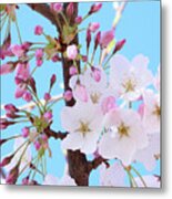 On A Spring Day Metal Print