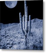 Once In A Blue Moon Metal Print