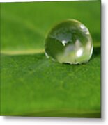 One Green Waterdrop Metal Print