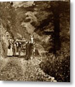 One-horse Carriage On The Old Coast Road, Big Sur  Circa 1900 Metal Print