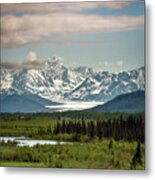 Only In Alaska 27 Metal Print