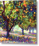 Orange Grove Of Citrus Fruit Trees Metal Print