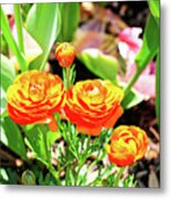 Orange On Orange Metal Print