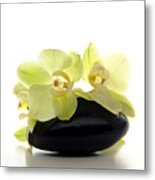 Orchid Flowers On Polished Stone Metal Print
