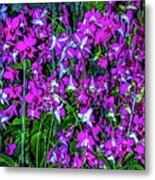 Orchid Gardens Metal Print