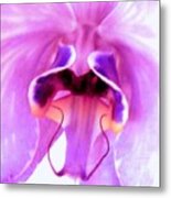 Orchid-innersecrets Metal Print