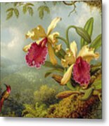 Orchids And Hummingbird 4 Metal Print