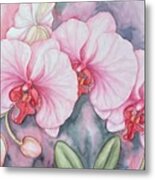 Orchids, Middle Of Winter Metal Print