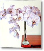 Orchids - Ontheedge Metal Print